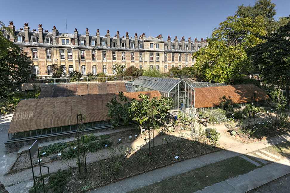 Restructuration de la faculté de Pharmacie (université Paris Cité)