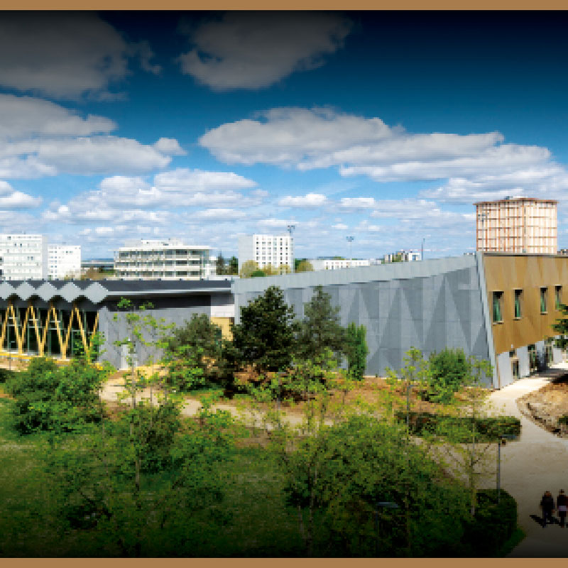 CSU de Nanterre : L’ambitieuse rénovation d’un complexe sportif universitaire au pied du RER !